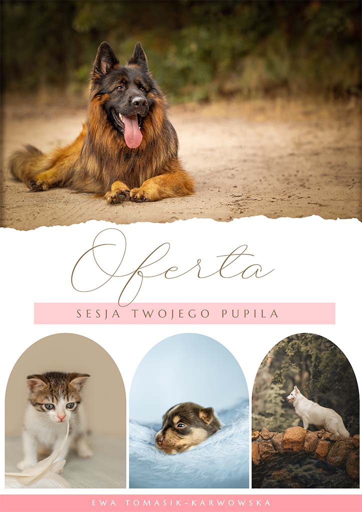 Baner reklamowy cennika - sesja Twojego pupila