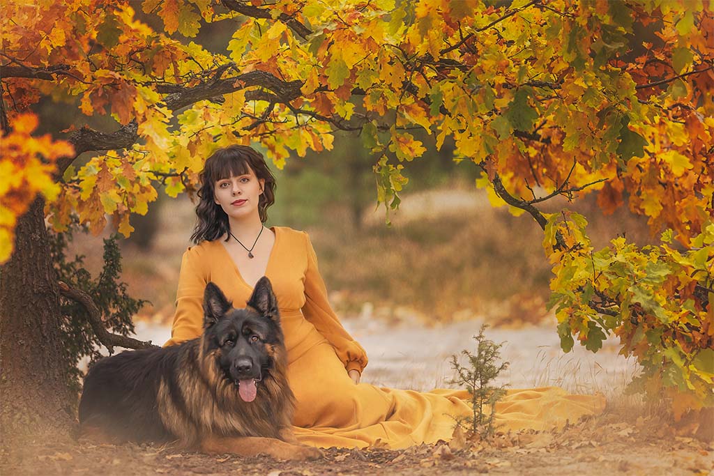 Jesienne zdjęcie kobiety siedzącej pod gałęzią z kolorowymi liśćmi. Kobieta ma na sobie pomarańczową sukienkę, obok niej leży pies.
