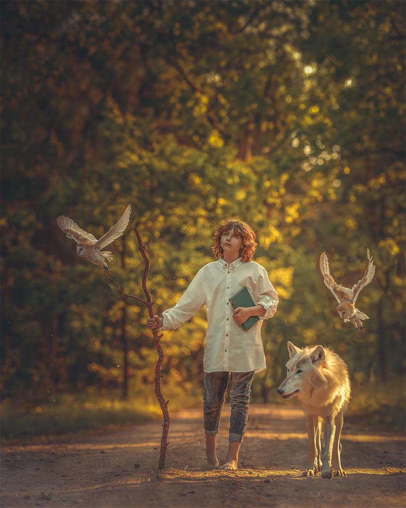 Droga leśna, na drodze chłopiec z kijem i książką idący, obok chłopca biały wilk, a nad nimi lecące dwie białe sowy.