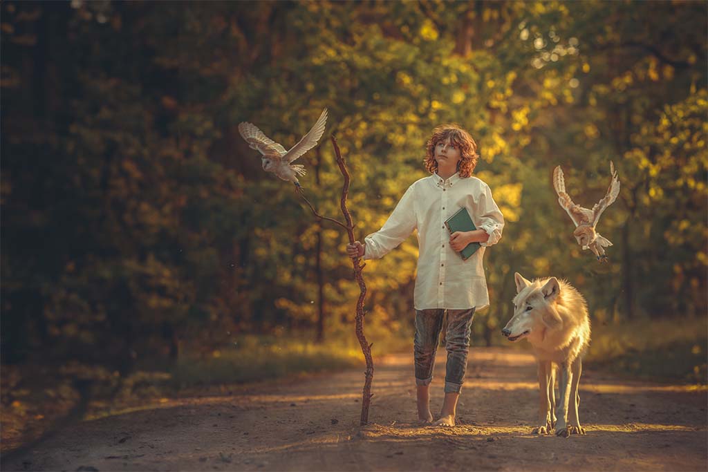 Droga leśna, na drodze chłopiec z kijem i książką idący, obok chłopca biały wilk, a nad nimi lecące dwie białe sowy.