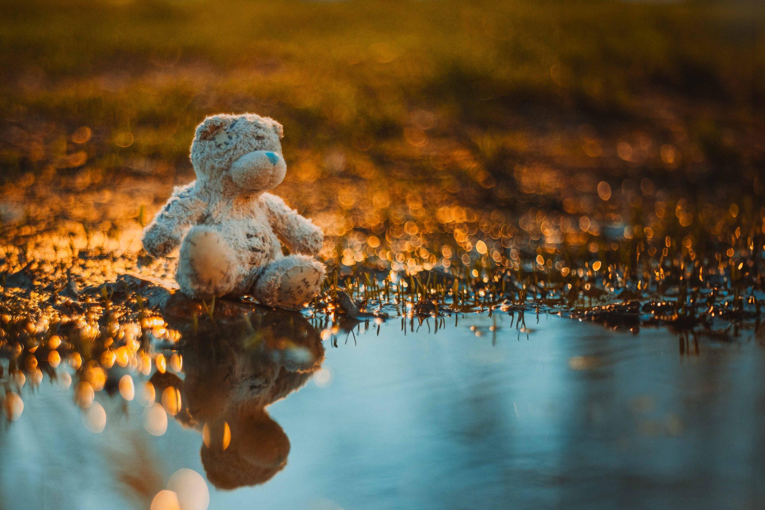 Obiektyw Manualny – Pentacon 1.8 / 50 mm